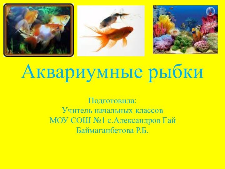 Аквариумные рыбкиПодготовила:Учитель начальных классов МОУ СОШ №1 с.Александров ГайБаймаганбетова Р.Б.