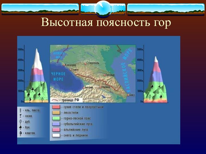 Высотная поясность гор