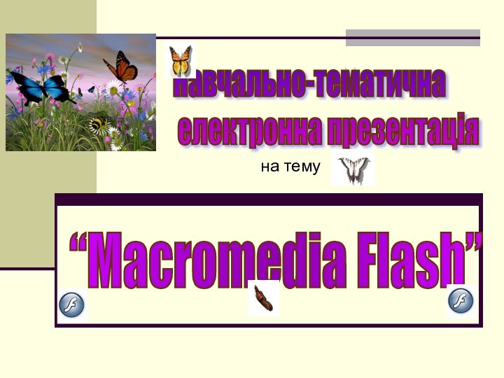 “Macromedia Flash” на темуНавчально-тематична   електронна презентація