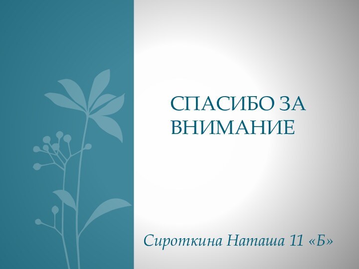 Сироткина Наташа 11 «Б»Спасибо за внимание