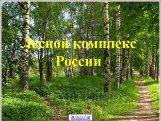 Лесной комплекс