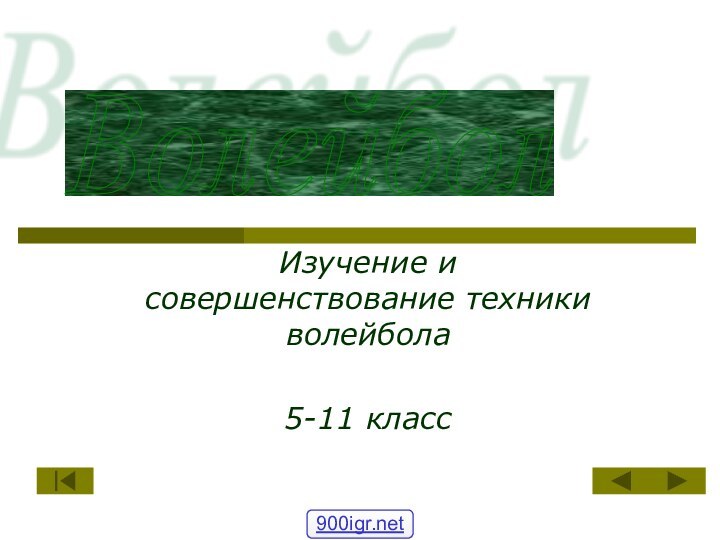 Изучение и совершенствование техники волейбола5-11 классВолейбол