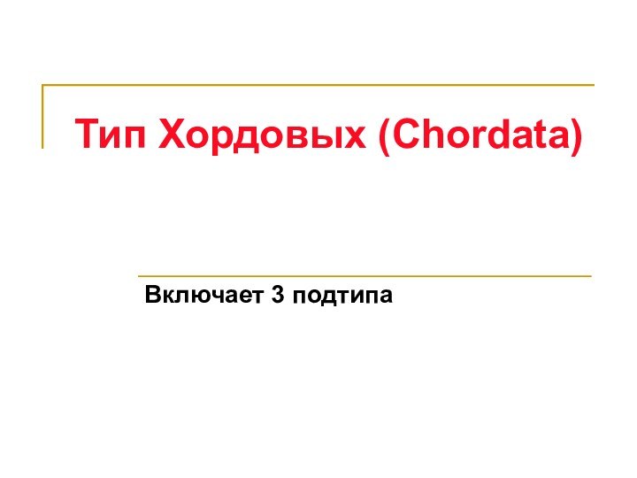 Тип Хордовых (Chordata)Включает 3 подтипа