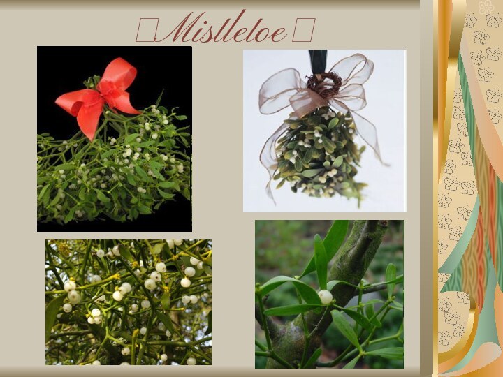 ?Mistletoe?