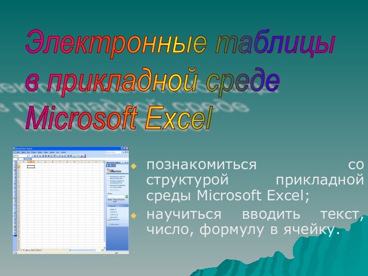 познакомиться со структурой прикладной среды Microsoft Excel; научиться вводить текст, число, формулу