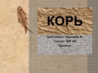 Корь