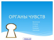 Система органов чувств