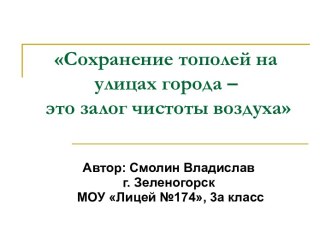 Сохранение тополей на улицах города – это залог чистоты воздуха