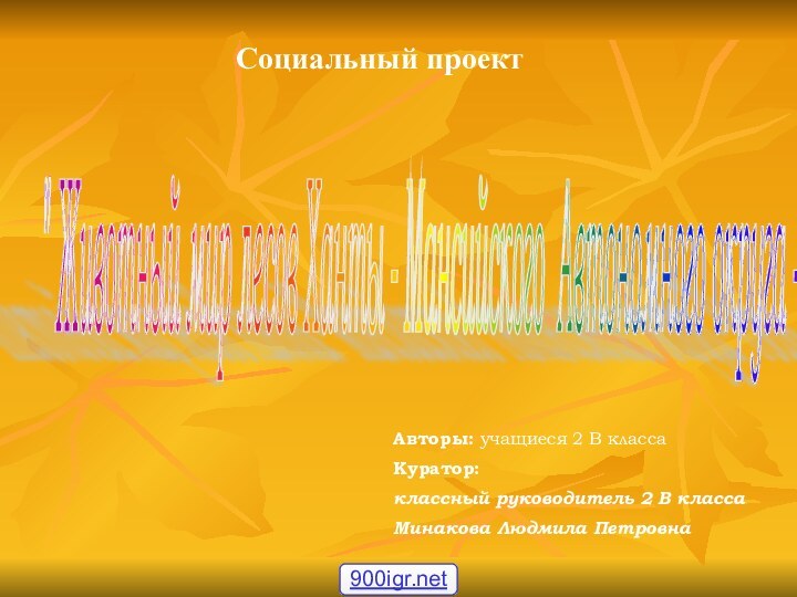 Социальный проект 