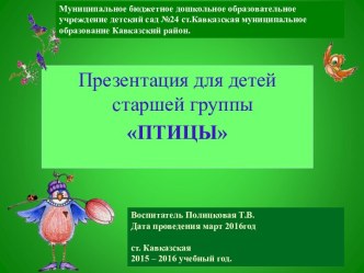 презентация птицы для детского сада