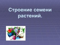 Строение семени растений