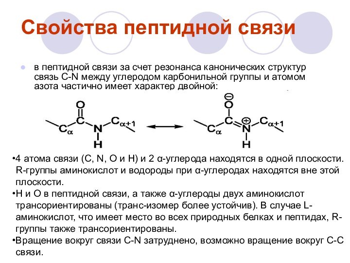 Свойства пептидной связив пептидной связи за счет резонанса канонических структур связь C-N