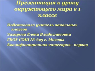 Презентация к уроку окружающего мира Почему Солнце светит днём, а звёзды-ночью? 1 класс