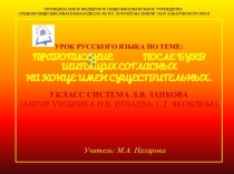 Правописание ь после букв шипящих согласных на конце имен существительных