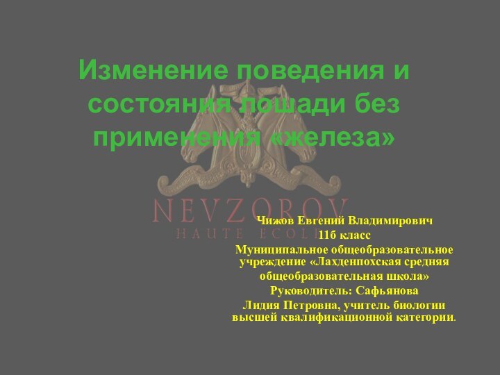 Изменение поведения и состояния лошади без применения «железа»Чижов Евгений Владимирович 11б классМуниципальное