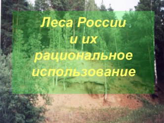 Лесные ресурсы России