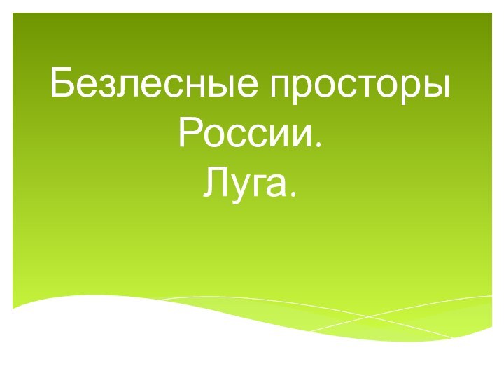 Безлесные просторы России. Луга.