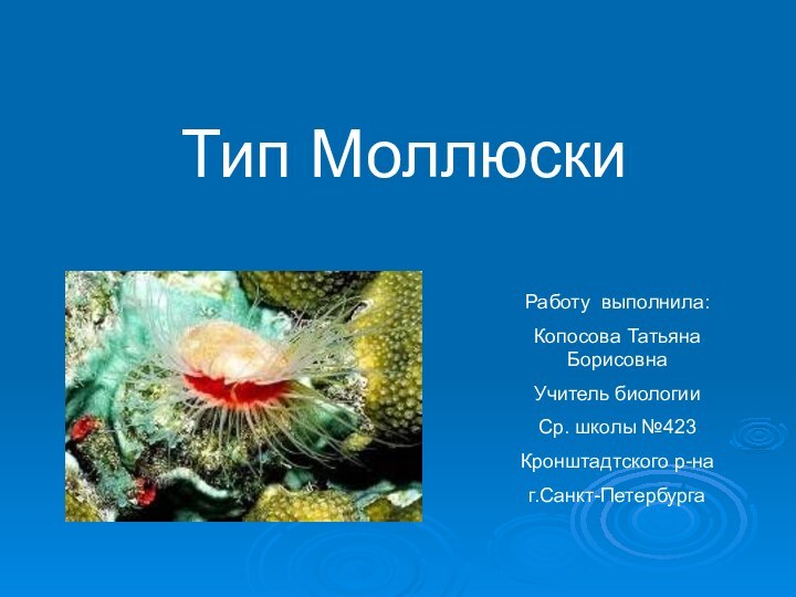 Тип Моллюски Работу выполнила:Копосова Татьяна БорисовнаУчитель биологии Ср. школы №423Кронштадтского р-наг.Санкт-Петербурга