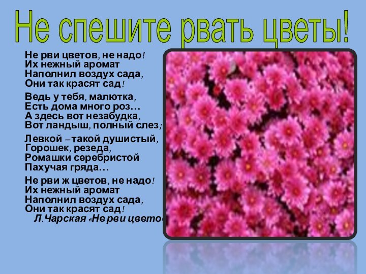 Не рви цветов, не надо!Их нежный ароматНаполнил воздух сада,Они так красят сад!Ведь