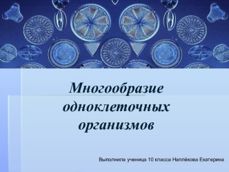 Многообразие одноклеточных организмов