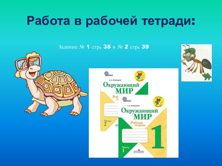 Работа в рабочей тетради:Задание № 1 стр. 38 и № 2 стр. 39