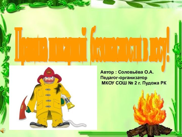 Правила пожарной безопасности в лесу! Автор : Соловьёва О.А.Педагог-организатор МКОУ СОШ №