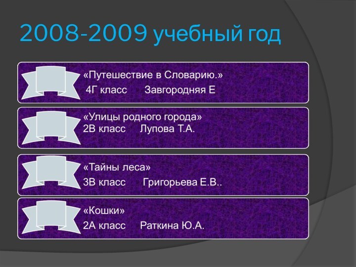 2008-2009 учебный год