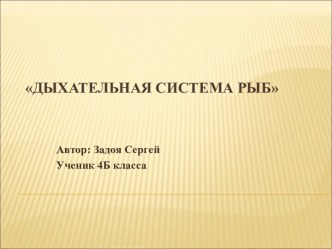 Дыхательная система рыб