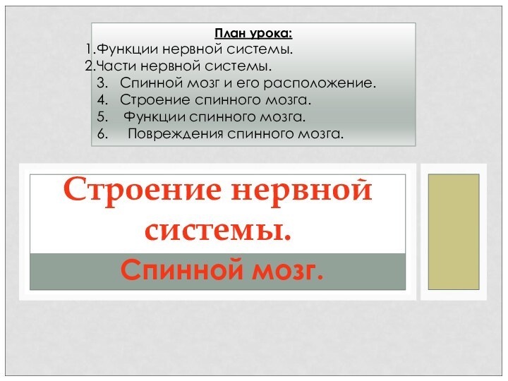 Спинной мозг.Строение нервной системы.План урока:Функции нервной системы.Части нервной системы.3.  Спинной мозг