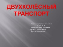 Двухколёсный транспорт