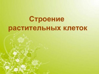 Строение растительных клеток