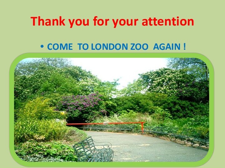 Thank you for your attentionCOME TO LONDON ZOO AGAIN !