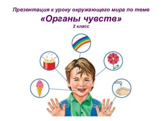 Органы чувств