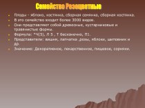 Семейство Розоцветные