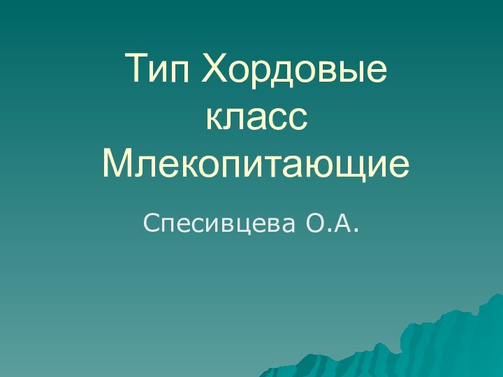 Тип Хордовые класс МлекопитающиеСпесивцева О.А.