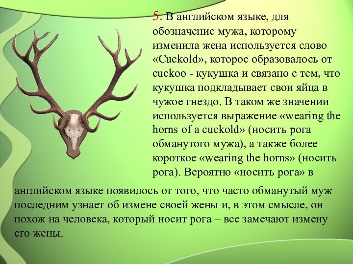 5. В английском языке, для обозначение мужа, которому изменила жена используется слово