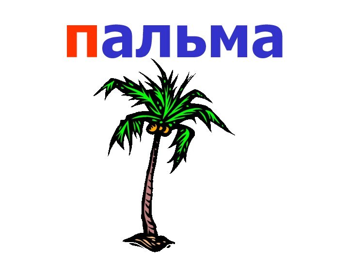 пальма