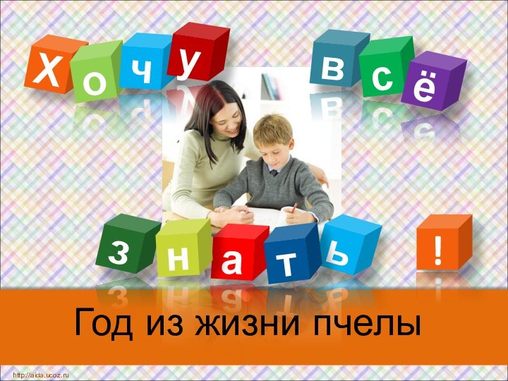 Год из жизни пчелыХвоаьчтсзё!унhttp://aida.ucoz.ru