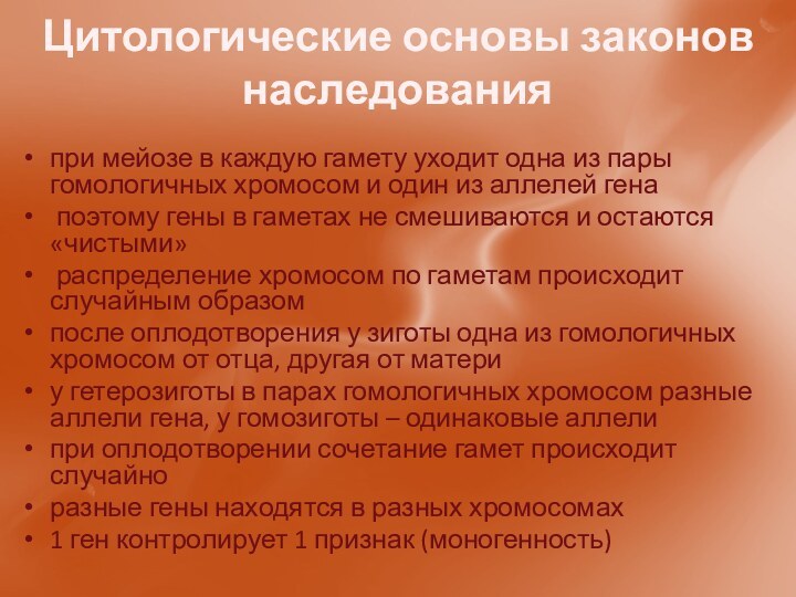 Цитологические основы законов наследованияпри мейозе в каждую гамету уходит одна из пары