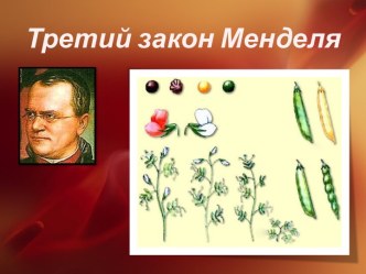 Третий закон Менделя