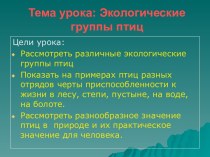 Экологические группы птиц