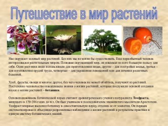 Путешествие в мир растений