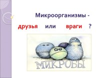 Микроорганизмы