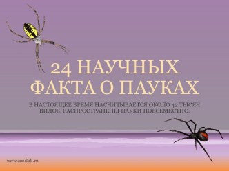 24 интересных фактов о пауках