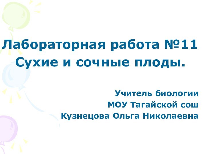 Лабораторная работа №11Сухие и сочные плоды.Учитель биологии МОУ Тагайской сош Кузнецова Ольга Николаевна