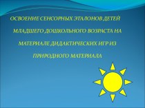 Освоение сенсорных эталонов детей младшего дошкольного возраста на материале дидактических игр из природного материала