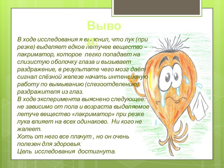 В ходе исследования я выяснил, что лук (при резке) выделяет едкое летучее