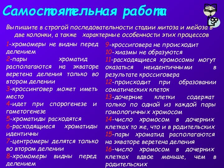 Самостоятельная работаВыпишите в строгой последовательности стадии митоза и мейоза в две колонки,