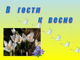 В гости к весне