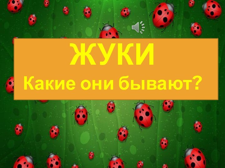 ЖУКИКакие они бывают?